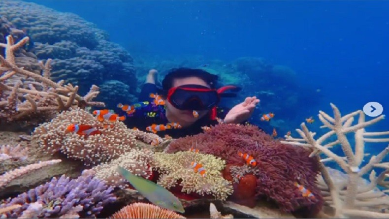 Liburan Murah ke Karimunjawa Bermodalkan Rp200.000, Begini Caranya 