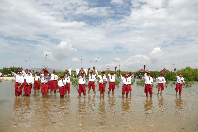 Berkontribusi di Sektor Lingkungan, PLN Tanam 283.739 Pohon Sepanjang 2023