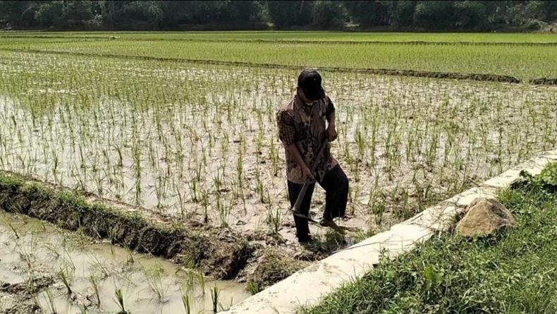 Petani di Bekasi Tiba-tiba Ditagih Utang Rp4 M padahal Tak Minjam, Polisi Selidiki