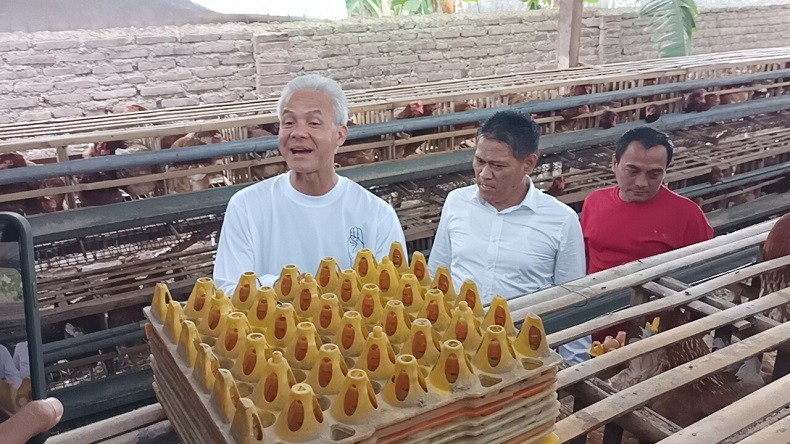 Ganjar Pranowo Panen Telur Ayam di Desa Peternak Magetan Jatim