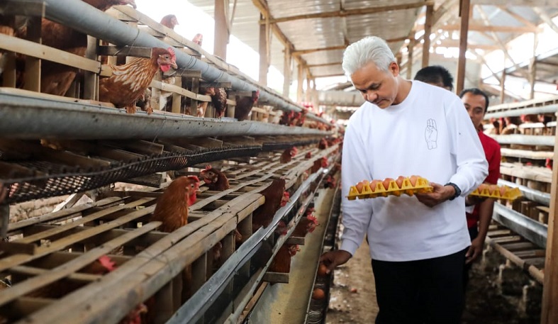 Ganjar Dorong Ibu-ibu Konsumsi Ikan dan Telur: Insya Allah Stunting Teratasi