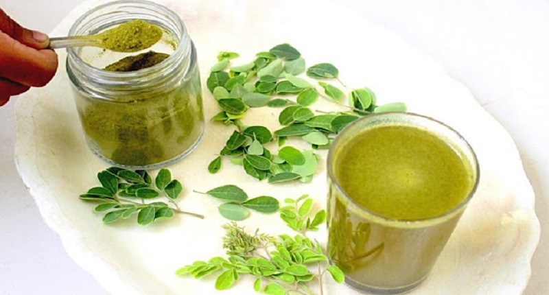 Mengenal Manfaat Daun Kelor, Nikmat Dijadikan Minuman Herbal