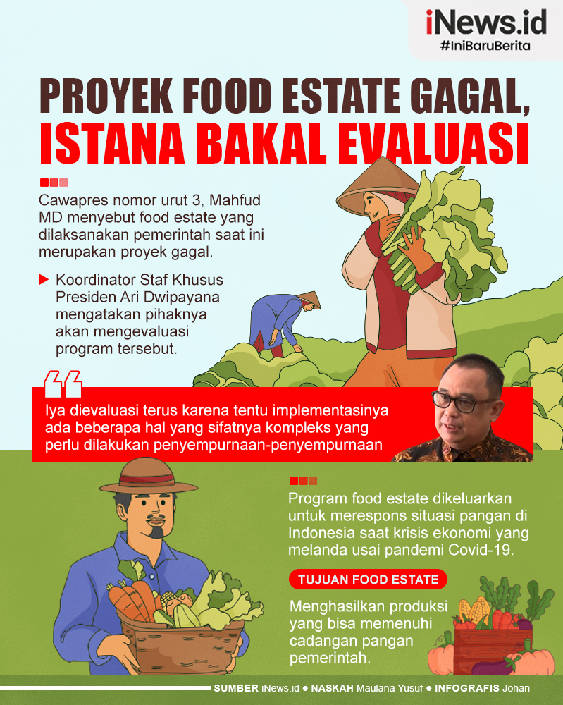 Infografis Proyek Food Estate Dinilai Gagal, Istana Bakal Evaluasi