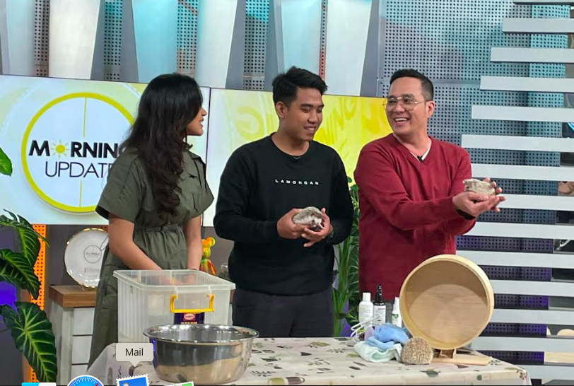 Tak Cuma Menggemaskan, Landak Mini Juga Bisa Menghasilkan Cuan