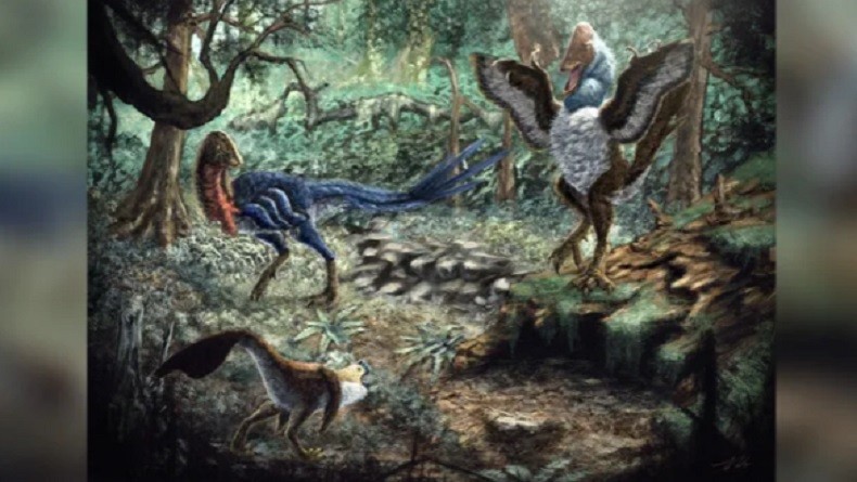 Pesan Fosil Dinosaurus Secara Online, Mahasiswa Ini Malah Dapat Temuan Mengejutkan