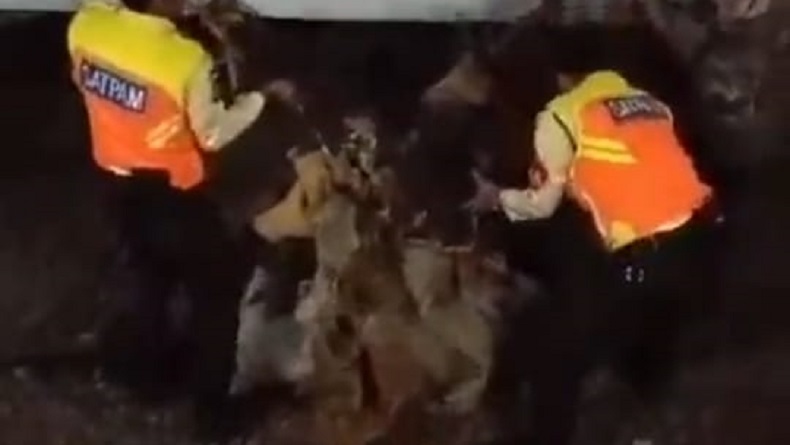 Penampakan Kawat Spring Bed yang Bikin KRL Gangguan di Stasiun Pondok Ranji