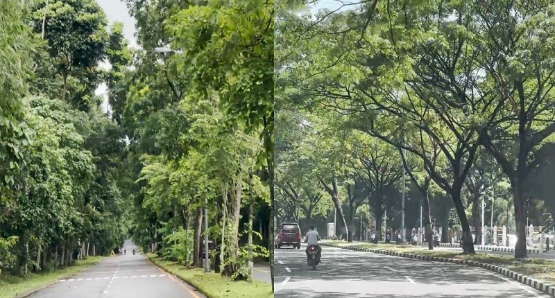 5 Jalanan Punya Suasana Romantis di Jakarta, Vibes-nya seperti Lagi di Drakor!