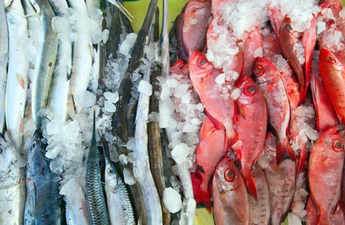 Duh, China Masih Dominasi Pengelolaan Sumber Daya Laut RI!