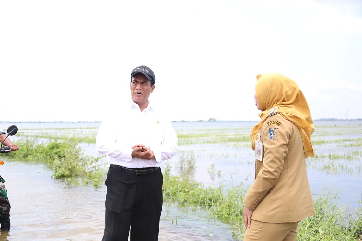 Kunjungi Korban Banjir Demak, Mentan Beri Bantuan Benih Padi 10.000 Hektare hingga Sarana Pertanian
