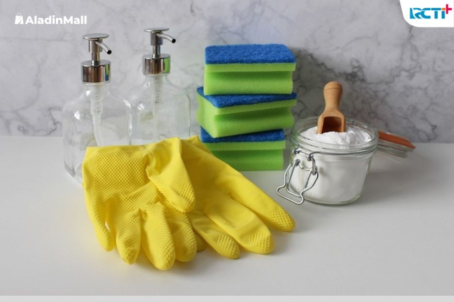 Ingin Rumah Bebas Virus dan Penyakit? Ini yang Harus Dilakukan