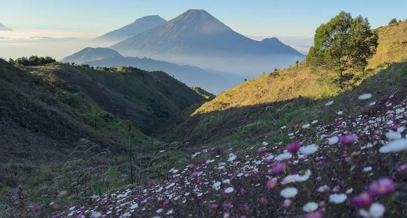 Tempat Paling Indah di Jawa Tengah Bisa Lihat 5 Puncak Gunung, seperti Ini Suasananya!