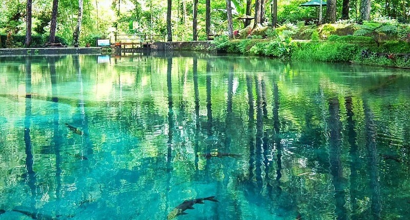 Kampung Unik di Blitar Punya Telaga Jernih dengan Air Kebiruan Dalamnya Ada Ikan Langka 