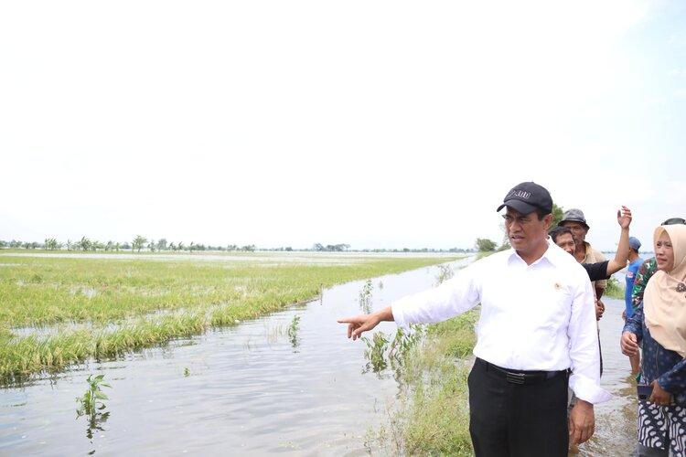 Mentan Bakal Berikan Alsintan hingga Benih Unggul Gratis untuk Petani yang Sawahnya Terendam Banjir