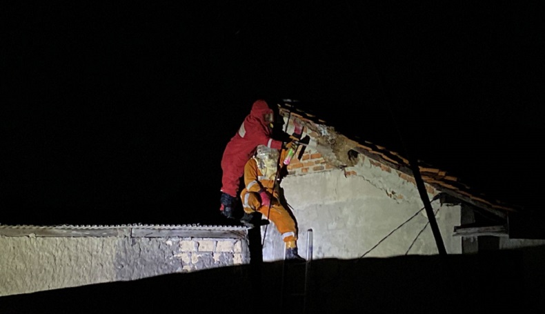 Tim Damkar dan BPBD Musnahkan Sarang Tawon yang Sengat Warga Bogor hingga Tewas