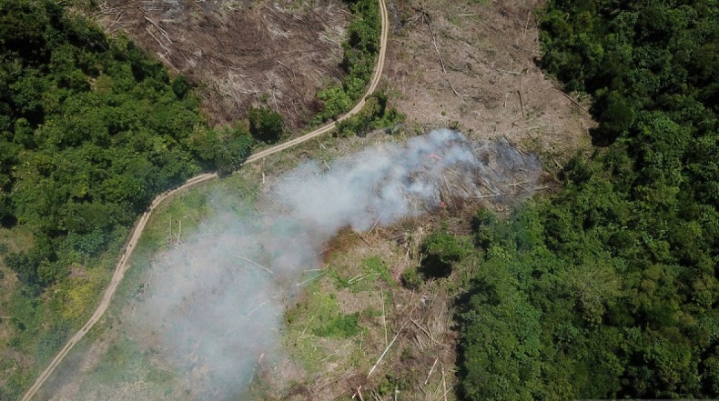 Fatwa MUI: Tindakan Penyebab Kerusakan Alam dan Krisis Iklim Hukumnya Haram