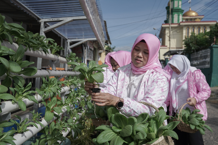 BRInita Sukses Sulap Lahan Sempit di Bandar Lampung Jadi Urban Farming