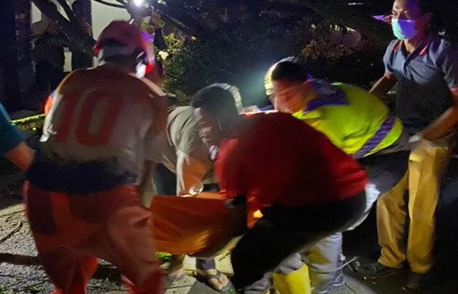 Tragis! Pemotor di Trenggalek Tewas Tertimpa Pohon Tumbang