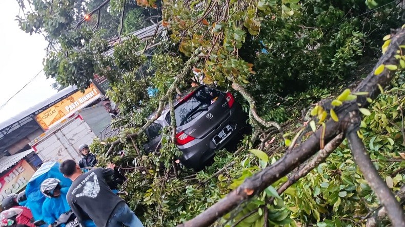 Pohon Tumbang di Depan SPBU Gadog Bogor, Satu Mobil Rusak