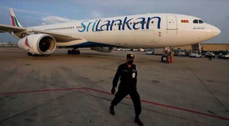 Heboh, Pesawat Airbus A330 Dikandangkan 3 Hari gegara Seekor Tikus