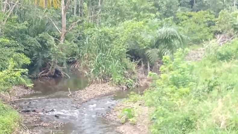 Kakek di Kalsel Hilang Bikin Geger, Ditemukan Esok Pagi sedang Cuci Baju di Sungai