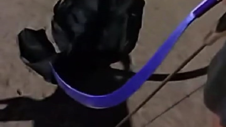 Viral Bocah Bawa Celurit Panjang Hendak Tawuran di Jakut, Langsung Diamankan Polisi