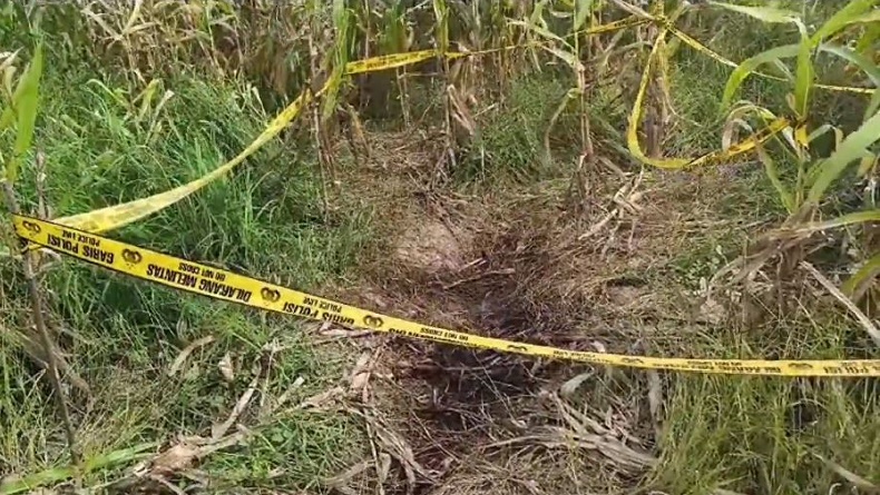 Gresik Geger, Mayat Perempuan Setengah Telanjang Membusuk di Ladang Jagung
