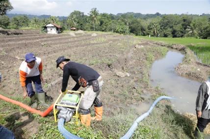 Dorong Percepatan Tanam, Mentan Imbau Pejabat Pertanian Segera Turun ke Sawah
