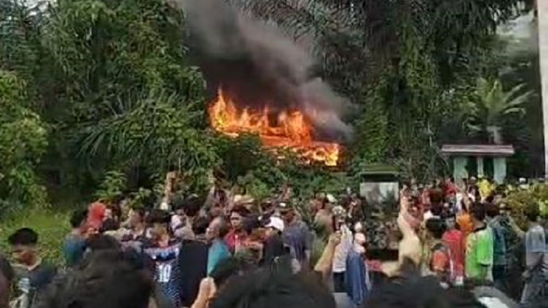 Warga Diserang Harimau, Massa Bakar Kantor Resort Polhut Suoh Lampung Barat