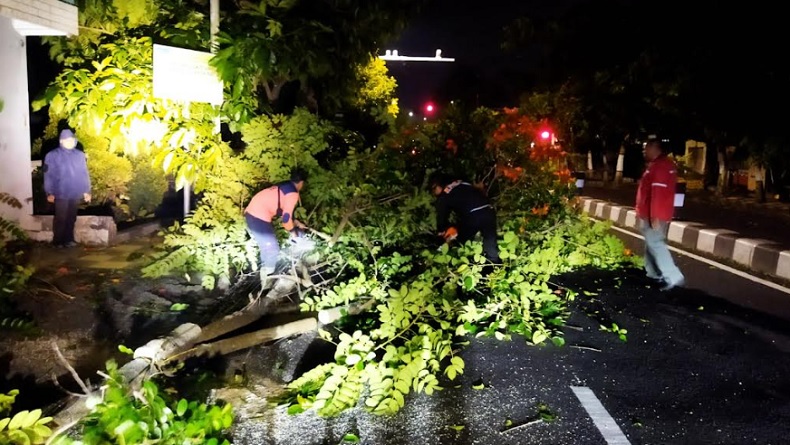Angin Kencang Terjang Kota Batu, 3 Pohon Besar Tumbang 4 Orang Terluka