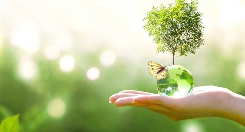 Tips Menyelenggarakan Acara MICE Ramah Lingkungan