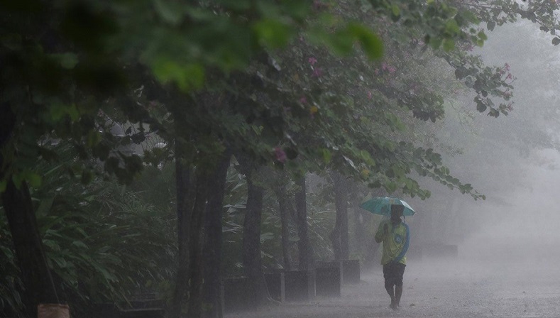 Jakarta Diguyur Hujan dan Angin Kencang, Pohon Tumbang Tutupi Jalan Permata Hijau Jaksel