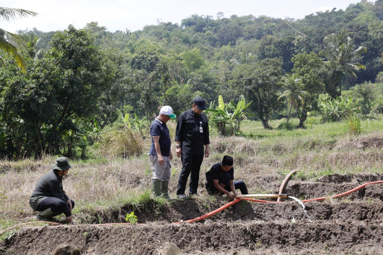 Tingkatkan Produksi Tanam, Kementan Bantu Petani Sukabumi Jalankan Irigasi Perpompaan