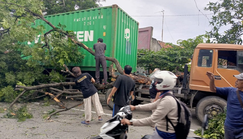 Truk Kontainer Tabrak Pohon di Kedung Halang Bogor, Dahan Timpa Mobil