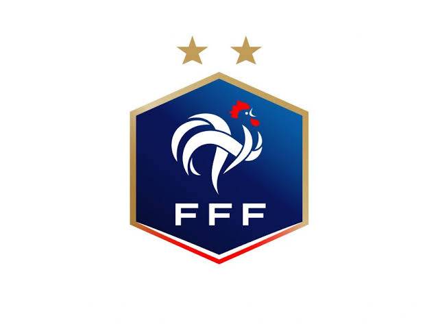 Federasi Prancis Akan Adukan Nyanyian Rasis Enzo Fernandez dan Timnas Argentina