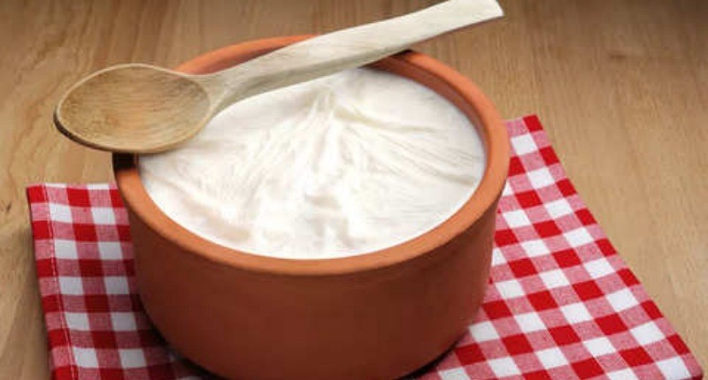 Kasus DBD Tinggi, Konsumsi 5 Makanan Ini Bagus untuk Pasien Demam Berdarah