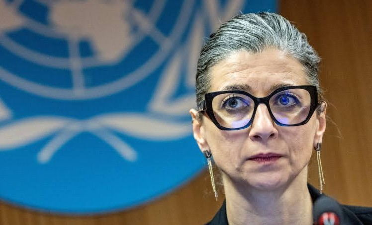 Pakar HAM PBB Serukan Negara-Negara Embargo Senjata ke Israel 