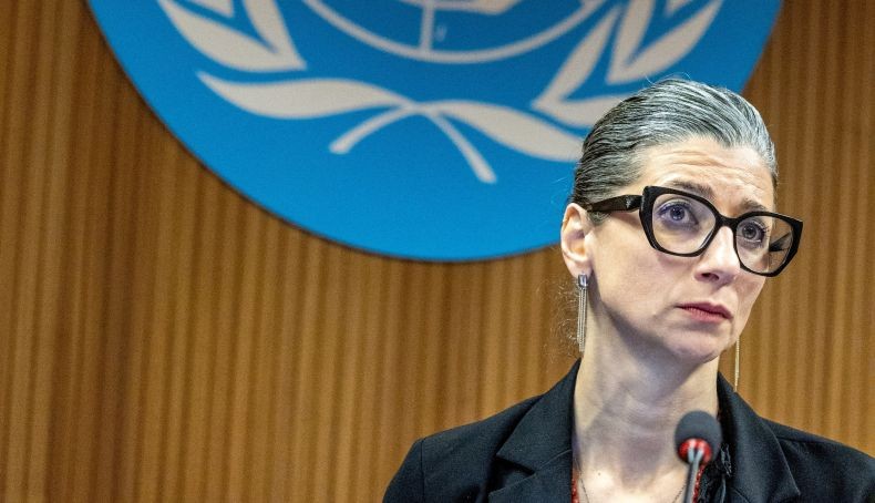 Pakar PBB yang Ungkap Praktik Genosida Israel di Gaza Dapat Ancaman