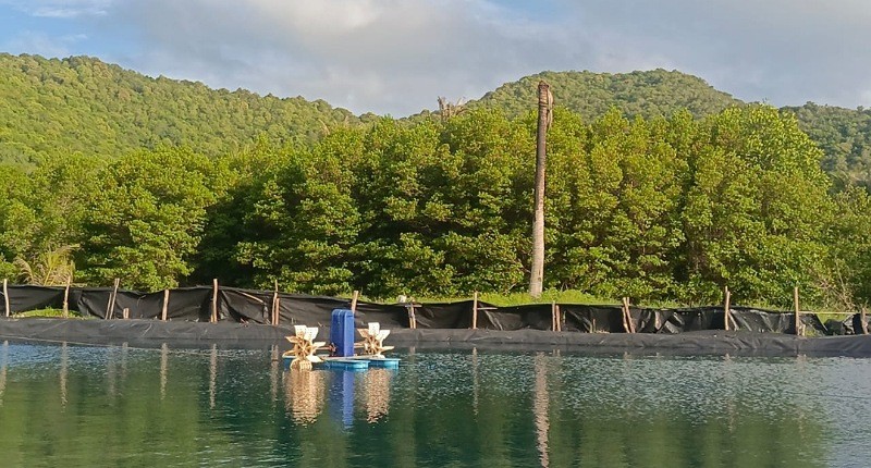 Mengintip Keindahan Karimunjawa, Bisa Jadi Role Model Investasi Terpadu