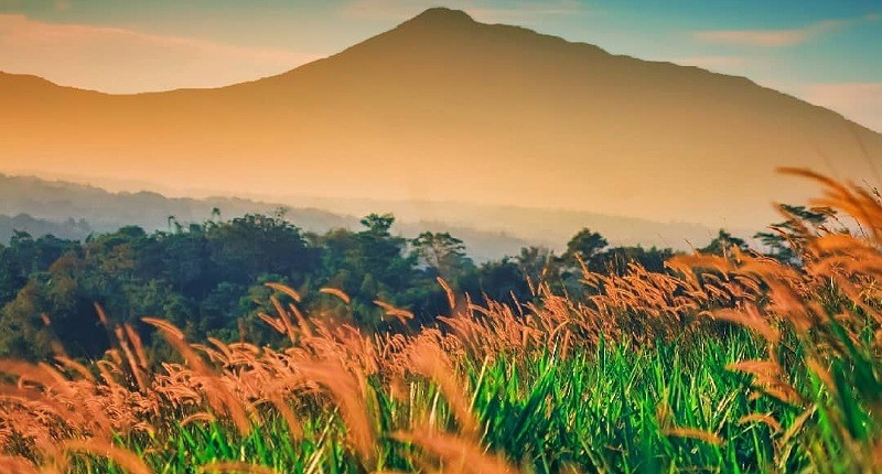 Menikmati Suasana Perdesaan di Bogor, Punya Pemandangan Sunset Menakjubkan