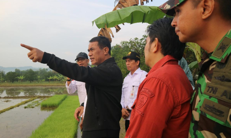 Kementan Siap Mengairi 300 Ribu Hektare Sawah di Jabar lewat Pompanisasi