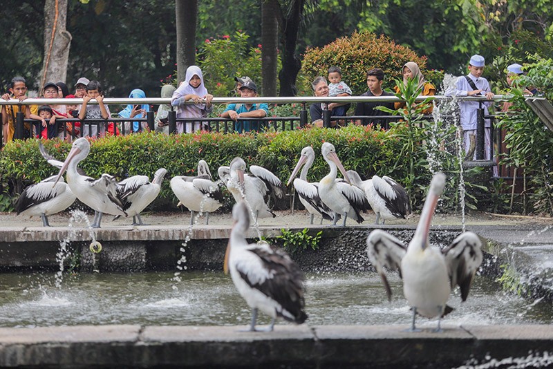 Kebun Binatang Ragunan Buka Hari Ini, Libur Hewan Diganti Besok