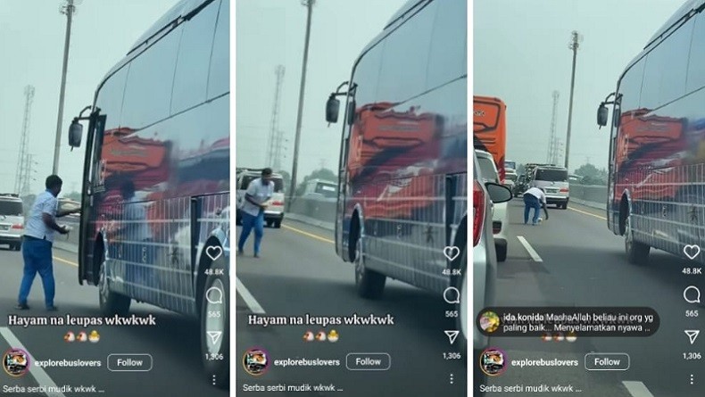 Viral Kernet Bus Lari Tangkap Ayam Lepas di Jalan Tol, Diduga Kabur dari Mobil Pemudik