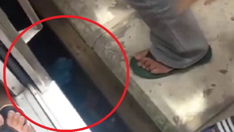 Viral Bocah Jatuh ke Celah Peron Stasiun Manggarai, Proses Penyelamatan Dramatis