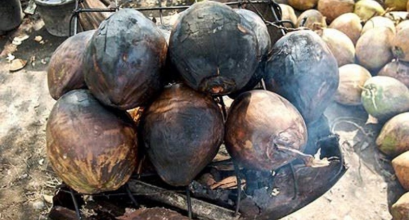 Kelapa Bakar Jadi Sorotan Dunia, Ternyata Ini Khasiatnya bagi Kesehatan!