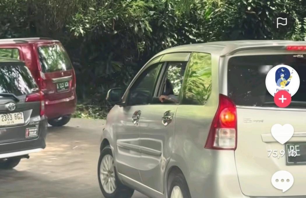 Viral Pengunjung Taman Safari Nekat Buka Jendela Mobil di Kandang Singa
