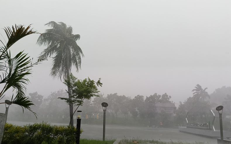 Hujan Deras dan Angin Kencang di Depok hingga Bogor, Pohon Bergoyang Nyaris Roboh