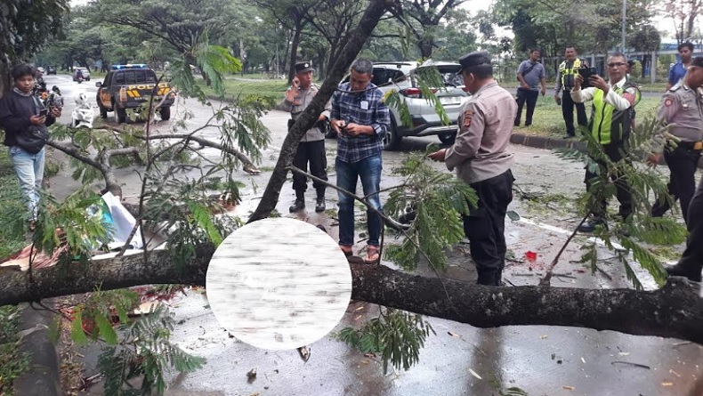 2 Pemotor Tewas Tertimpa Pohon Tumbang, Dievakuasi ke RS Bayu Asih Purwakarta