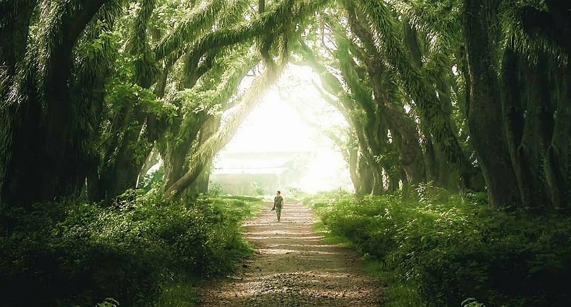 Desa di Banyuwangi Harus Dikunjungi Sekali Seumur Hidup, Ada yang Mirip Negeri Dongeng