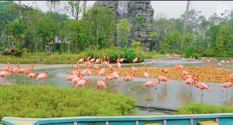 Unik! Eksplorasi Hidden Gem di Singapura Wisatawan Bisa Manfaatkan AI