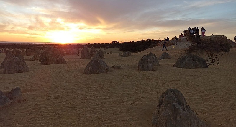 Menikmati Suasana Malam di Gurun Pinnacles Perth, Dinner sambil Menatap Bintang